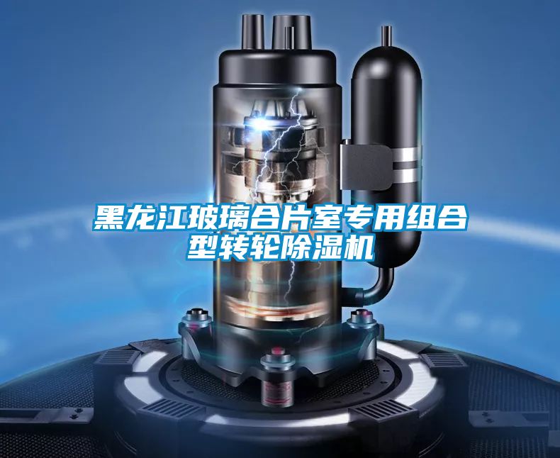黑龙江玻璃合片室专用组合型转轮樱桃TV在线观看机