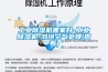 工业樱桃TV在线观看机哪家好-工业樱桃TV在线观看机-鸿河空气处理(查看)