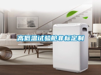 常见问题高低温试验舱非标定制