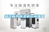 知名新风樱桃TV在线观看机招商加盟