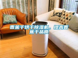 行业樱桃视频APP在线观看香蕉干烘干樱桃TV在线观看机，提高香蕉干品质