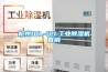 杭州10L-12L工业樱桃TV在线观看机直销