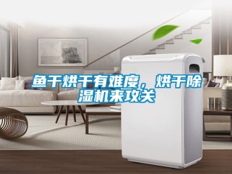 行业樱桃视频APP在线观看鱼干烘干有难度，烘干樱桃TV在线观看机来攻关