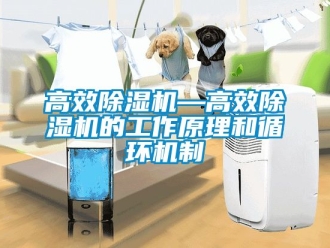 行业樱桃视频APP在线观看高效樱桃TV在线观看机—高效樱桃TV在线观看机的工作原理和循环机制