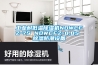 工业耐低温樱桃TV在线观看机NDWCFZ-7S NDWCFZ-8.8S 樱桃TV在线观看防潮设备