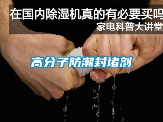 常见问题高分子防潮封堵剂