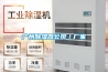 广州樱桃TV在线观看器公司｜厂家