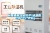 转轮式樱桃TV在线观看机功率(请查看：2022已更新)