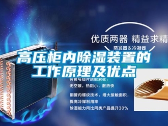 行业樱桃视频APP在线观看高压柜内樱桃TV在线观看装置的工作原理及优点