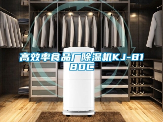 行业樱桃视频APP在线观看高效率食品厂樱桃TV在线观看机KJ-8180C
