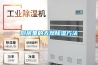 厨房里的天然樱桃TV在线观看方法
